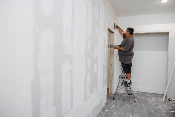 Best Water-Damaged Drywall Repair  in USA